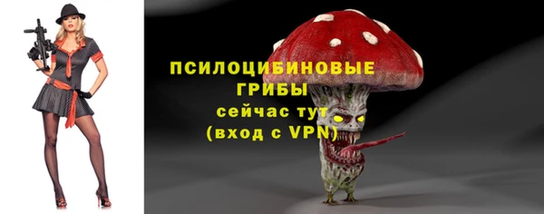 гашик Алексин
