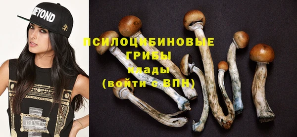 мет Аркадак