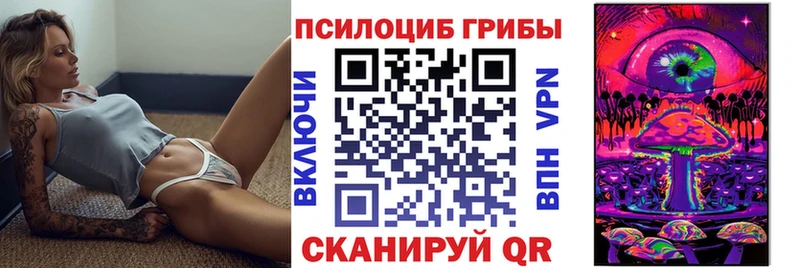 мега рабочий сайт Брянск нарко площадка как зайти Псилоцибиновые грибы Psilocybe