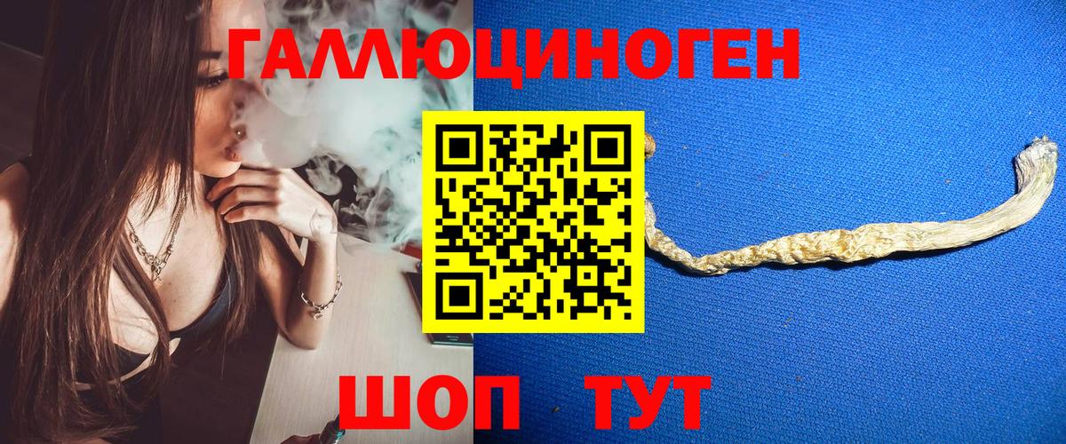 Галлюциногенные грибы GOLDEN TEACHER Брянск