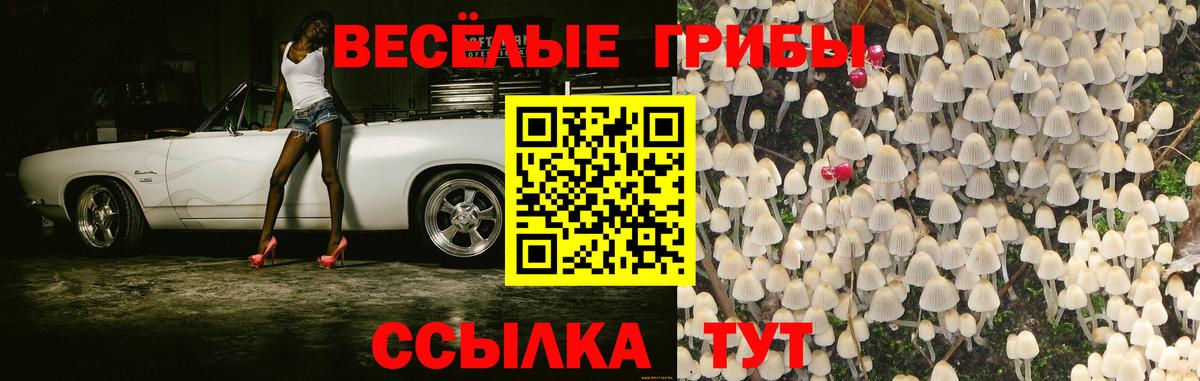Брянск  Псилоцибиновые грибы Psilocybine cubensis  Вход с VPN 